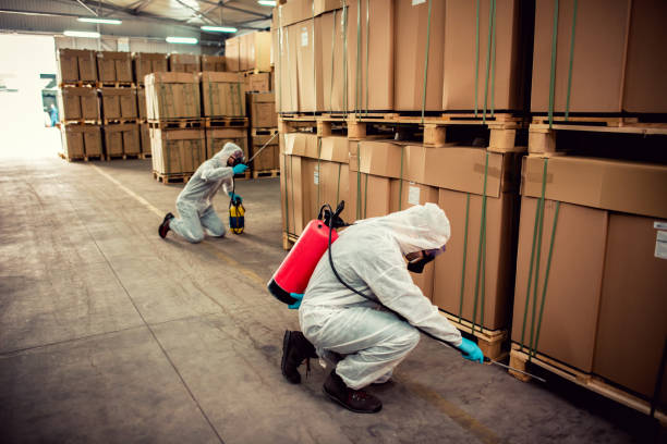 Best Local Pest Control Services  in Crescent, OK