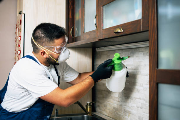 Best Pest Removal Services  in Crescent, OK