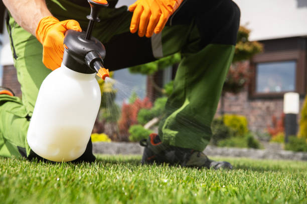 Best Pest Prevention Services  in Crescent, OK