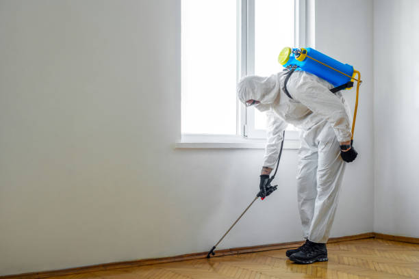 Best Rat Extermination Near Me  in Crescent, OK