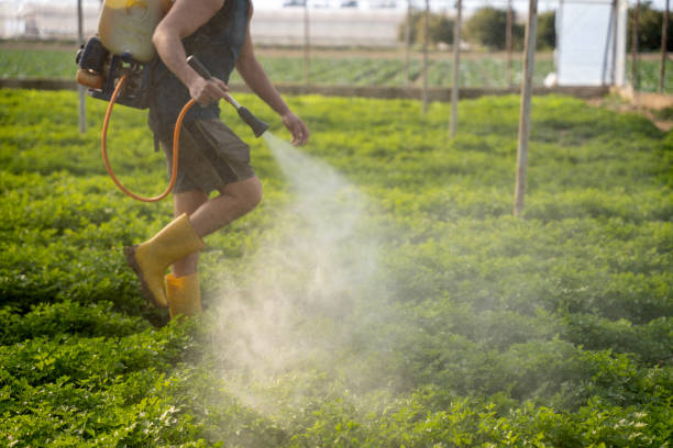 Best Pest Control for Homes  in Crescent, OK