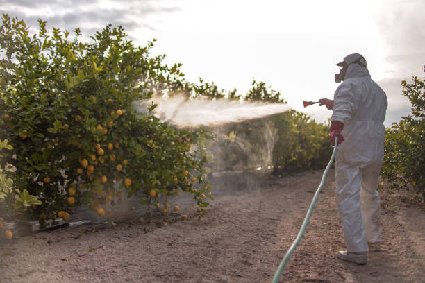 Pest Prevention Services in Crescent, OK