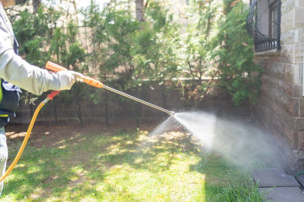 Best Rat Extermination Near Me  in Crescent, OK