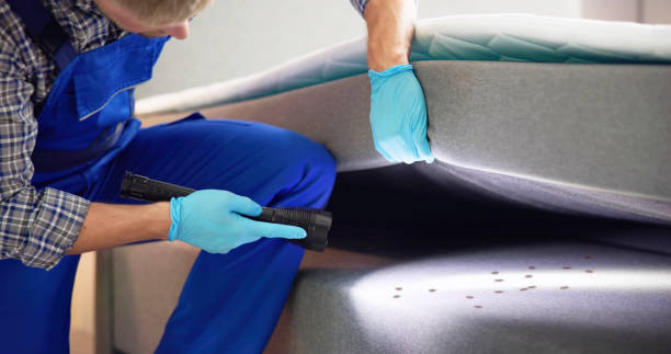 Best Flea Control Services  in Crescent, OK
