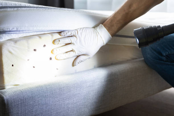 Best Wildlife Control Services  in Crescent, OK
