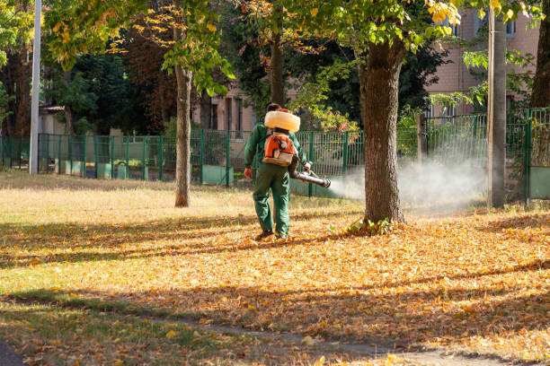 Best Affordable Pest Control Services  in Crescent, OK