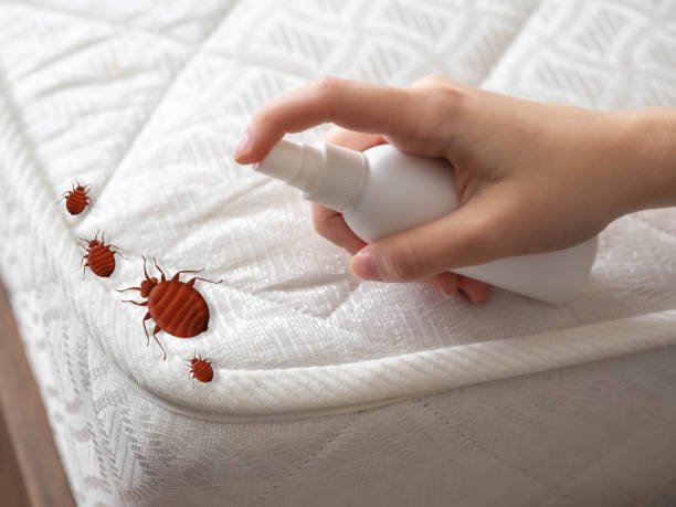 Reliable Crescent, OK Pest Control Solutions