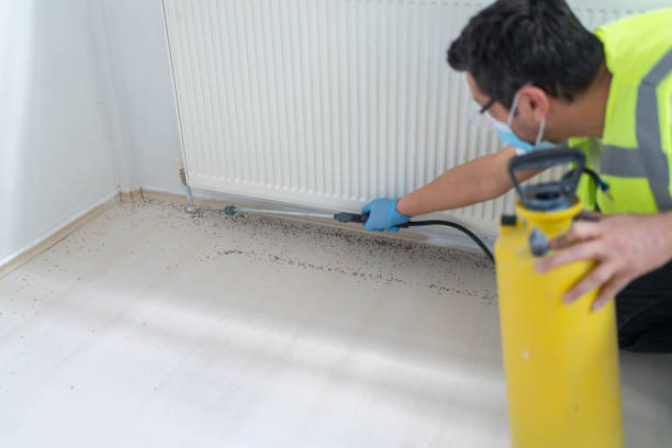 Best Exterminator Services  in Crescent, OK