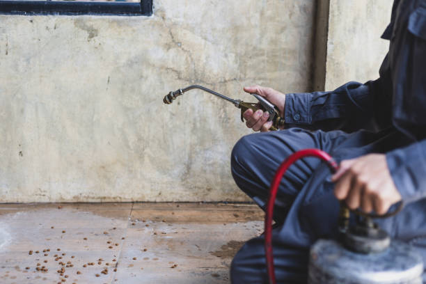 Best Best Pest Control Companies  in Crescent, OK